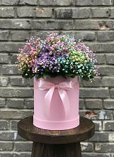 Цветочная композиция из Гипсофила и Розы в шляпной коробке #REPLACE_PRED# Шестаково Воронежской области