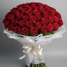 Букет 101 Красная роза Блэк Мэджик в Шестаково Воронежской области