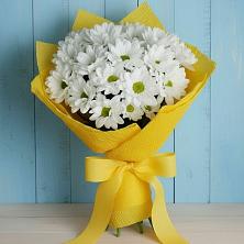 Букет цветов из:  Хризантемы в Шестаково Воронежской области