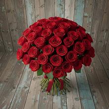 Букет 55 Красных роз Фридом в Шестаково Воронежской области