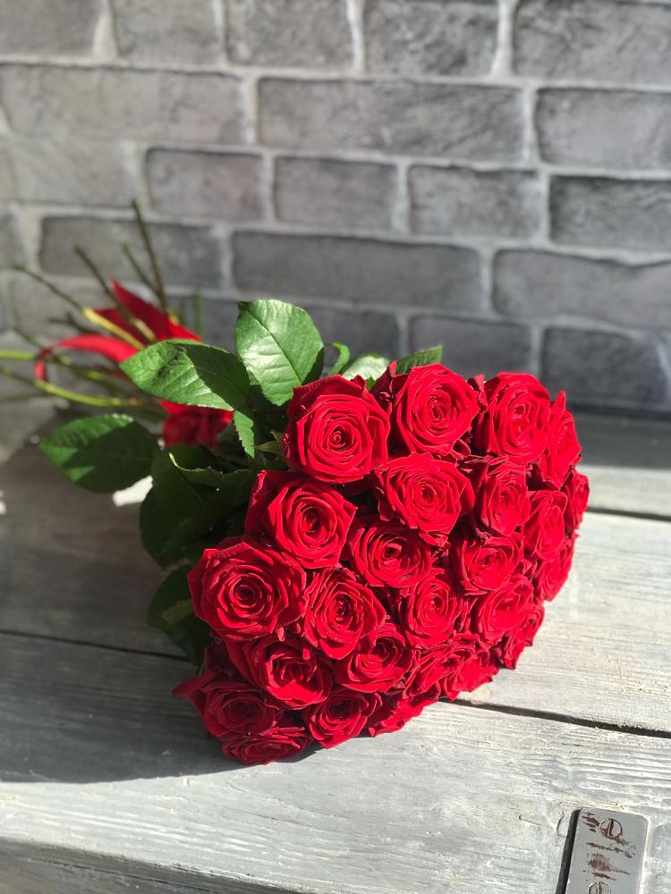 Букет Красные розы Фридом в Шестаково Воронежской области