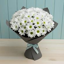Букет цветов из:  Хризантемы в Шестаково Воронежской области