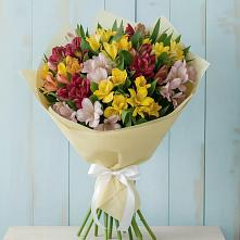 Букет цветов из:  Альстромерии #REPLACE_PRED# Шестаково Воронежской области