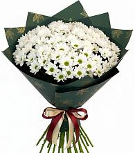 Букет цветов из:  Хризантемы в Шестаково Воронежской области