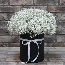 Цветочная композиция из Гипсофила в шляпной коробке в Шестаково Воронежской области