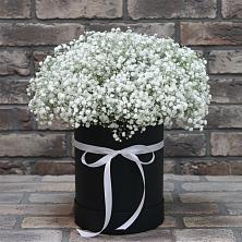 Цветочная композиция из Гипсофила в шляпной коробке в Шестаково Воронежской области