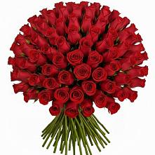 Букет Красные розы Чери Лав в Шестаково Воронежской области