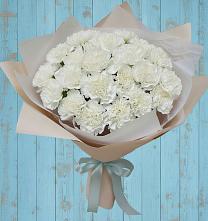 Букет цветов из:  Гвоздики в Шестаково Воронежской области