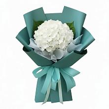 Букет цветов из:  Гортензия в Шестаково Воронежской области